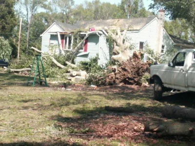 Trees Fallen on Your Home