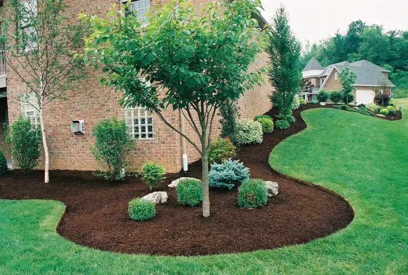 Landscape Services
