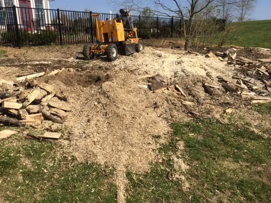 Stump grinding